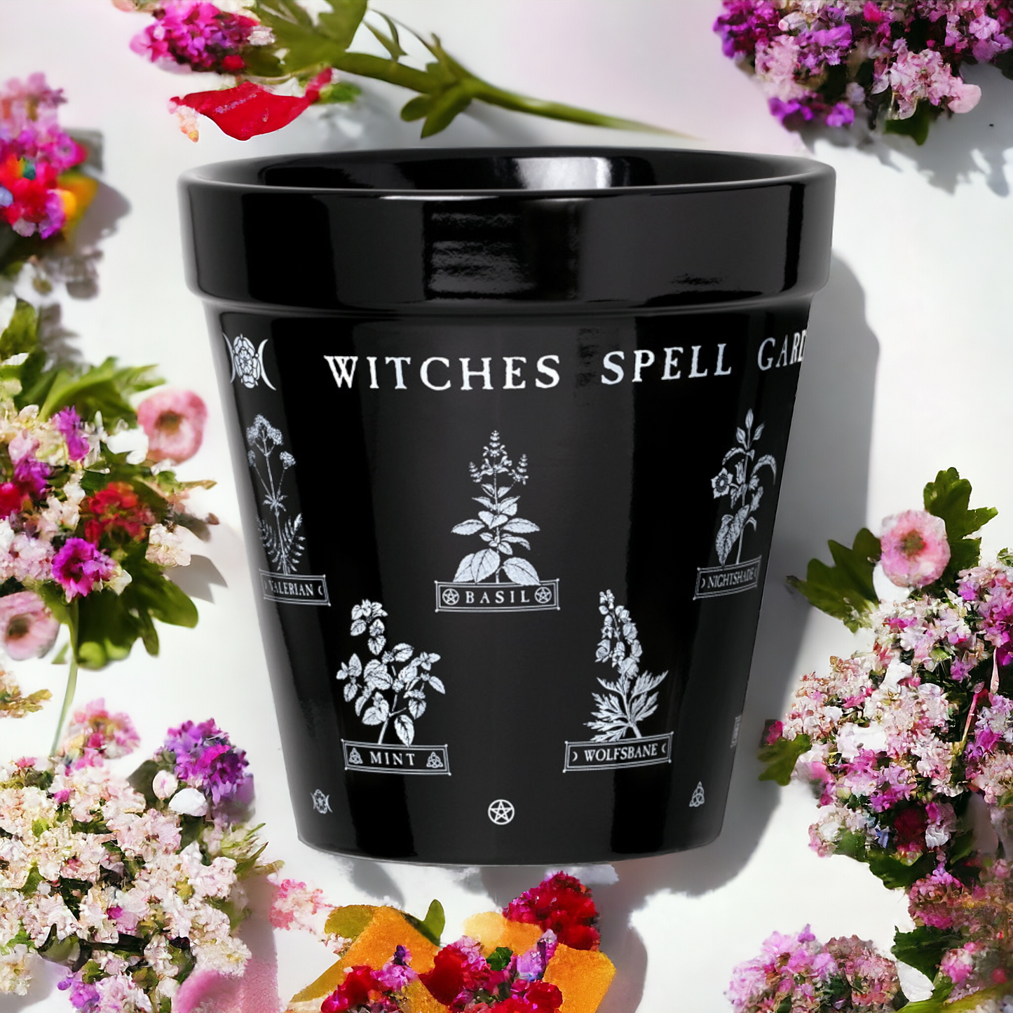 Witches Spell Garden Plant Pot