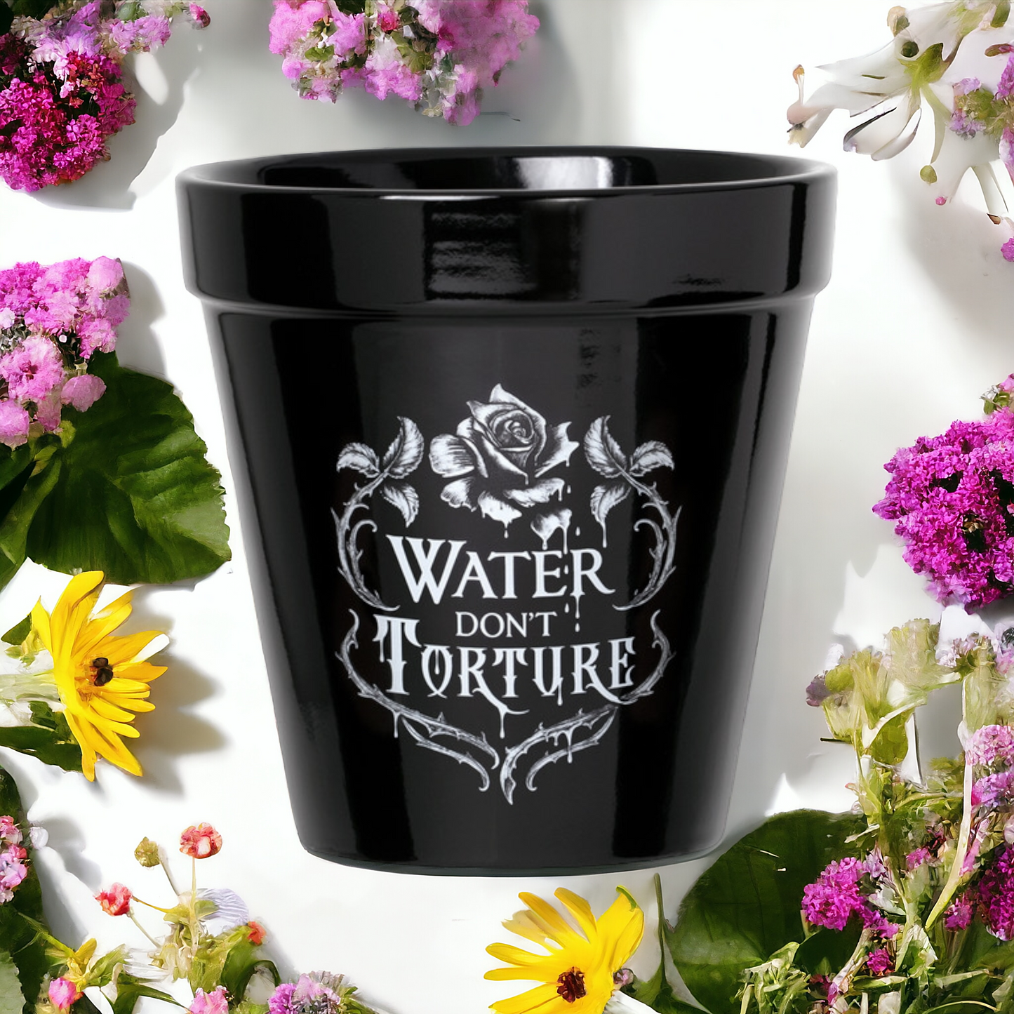 Water Don't Torture Plant Pot